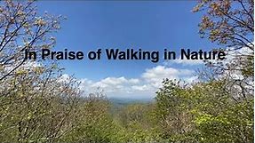 In Praise of Walking in Nature. Appalachian Trail Thru-Hiker 2020