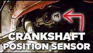 How To Install Crankshaft Position Sensor | 3.8L Monte Carlo SS