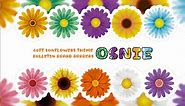 OSNIE 60Ft Sunflowers Theme Bulletin Board Borders
