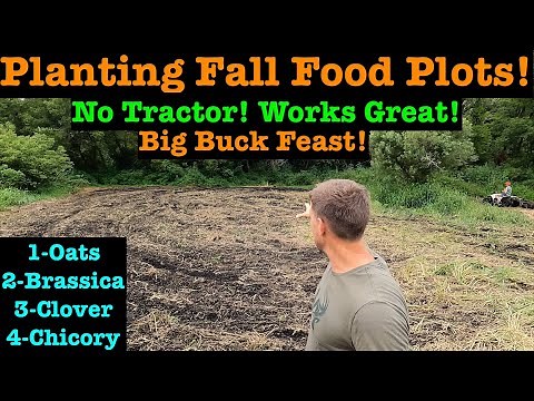 Planting Oats & Brassica Food Plots With NO Tractor! Time For Fall Food Plots!