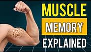 Muscle Memory : How Muscle Memory Works Explained (2023)