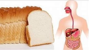 What happens to your body when you eat Bread Everyday ???