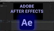 How To Change Expression Editor Font Size After Effects