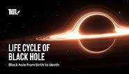 Life cycle of black hole | Black hole from birth to death | Full Documentary English #blackhole