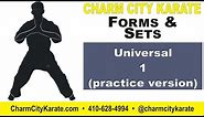 Universal 1 for Practice - kenpo forms and sets