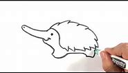 How to Draw an Echidna - Cute Drawings