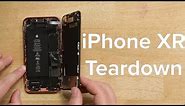 iPhone XR Teardown!