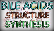 Bile Acids - Structure and Synthesis