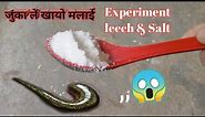 Leech & salt experiment vlogs