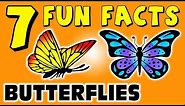 7 FUN FACTS ABOUT BUTTERFLIES! BUTTERFLY FACTS FOR KIDS! Learning Colors! Insects! Funny Sock Puppet