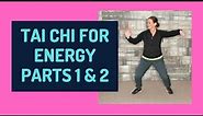 TAI CHI FOR ENERGY 1 and 2 (TCHI Tai Chi for Health Institute) - 2021