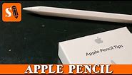 Apple Pencil How to Change the Tip Tutorial