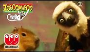 Zoboomafoo | Episode: Lemur Explores Zoo Animals | Animals For Kids