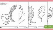 NZ Native Bird Colouring Pages Pack