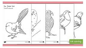 NZ Native Bird Colouring Pages Pack