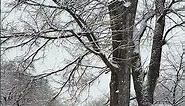 Winter scenes at Sapporo campus - Hokkaido University