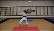 Wado Ryu Beginners Katas: Third Form - Kihon Kata Sanbonme