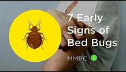 7 Early Signs of BED BUGS (How to Know if You Have Bed Bugs)