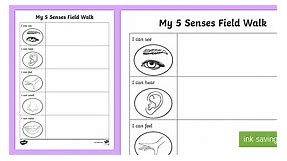 5 Senses Field Walk Worksheet
