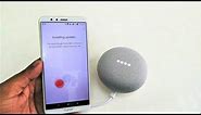 How to Connect & Setup Google Home & Home Mini in Phone