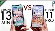 iPhone 13 Mini Vs iPhone 11 Pro! (Comparison) (Review)