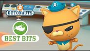 Octonauts: Kwazii's Best Bits