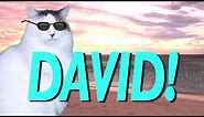 HAPPY BIRTHDAY DAVID! - EPIC CAT Happy Birthday Song