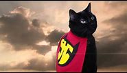 Super Hero Cat (Official Music Video) - N2 the Talking Cat S2 Ep18