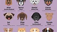 The Dog Breed Most Compatible with Your Zodiac Sign