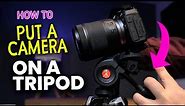 How To Put a CAMERA on a TRIPOD Tutorial for Beginners | Manfrotto Tripod