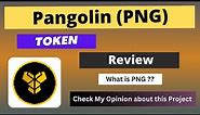 What is Pangolin (PNG) Coin | Review About PNG Token