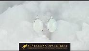 Gold Earrings, Green Earrings, Opal Stud Earrings - Australian Opal Direct | Worldwide Shipping