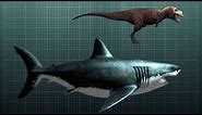 The Nightmarish Megalodon | Sharkzilla -- Shark Week
