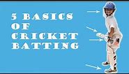 Cricket batting basics | 5 basics of cricket batting for beginners | cricket coaching for kids