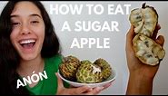How to Eat a Sugar Apple (aka Anón/Sweetsop)
