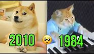 Cat and Dog Famous Memes That Died 🕊️💔
