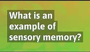 What is an example of sensory memory?