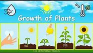 Growth Of Plants, Seed Germination, Plant Growth and Development, Growth Of Plants For Kids, Plants