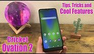Cricket Ovation 2 - Tips, Tricks & Cool Features