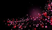 Romantic flying red rose flower petals love heart wedding animated background Hd