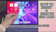 iPad Pro 4th Generation (12.9 inch) | How to insert and remove sim card