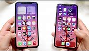 iPhone 11 Vs iPhone 11 Pro In 2021! (Comparison) (Review)