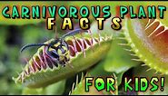 Carnivorous Plant Facts for Kids!