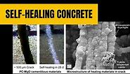 What is Self-Healing Concrete? Autogenous and Autonomous Healing