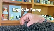 How to treat your dog’s Sebaceous Cyst with Home Remedies #cyst #sebaceouscyst #dmso #doglump #dogcyst
