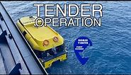 Tender Ports and Tender to shore.