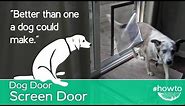 How to Make a Screen Door Doggy Door