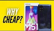 Samsung Galaxy M Series is CHEAP - Here's why!