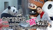 Giant panda fans come out! Will the adorable icons create a new commercial miracle?