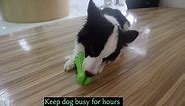 Cutiful Dog Toys for Aggressive Chewers Large Medium Breed Dog Chew Toys Dog Toothbrush Nearly Indestructible Squeaky Interactive Tough Extremely Durable Toys for Medium Large Dogs